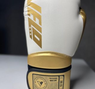 بهترین دستکش بوکس در ایران 2026