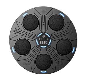 کیسه دیواری دیجیتال کد 2225